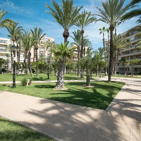 Apartment 093 - Mil Palmeras Dream *